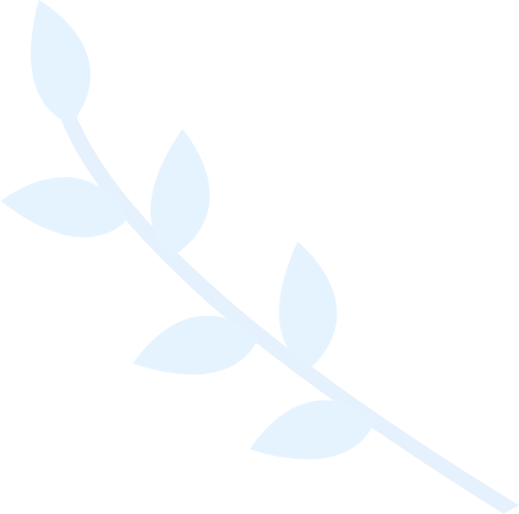 【软件使用教程】图文详解的免费ddos网页端