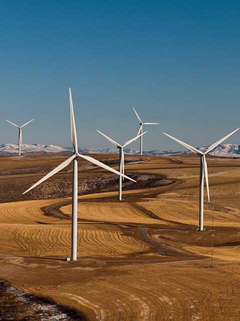 免费ddos攻击网页端